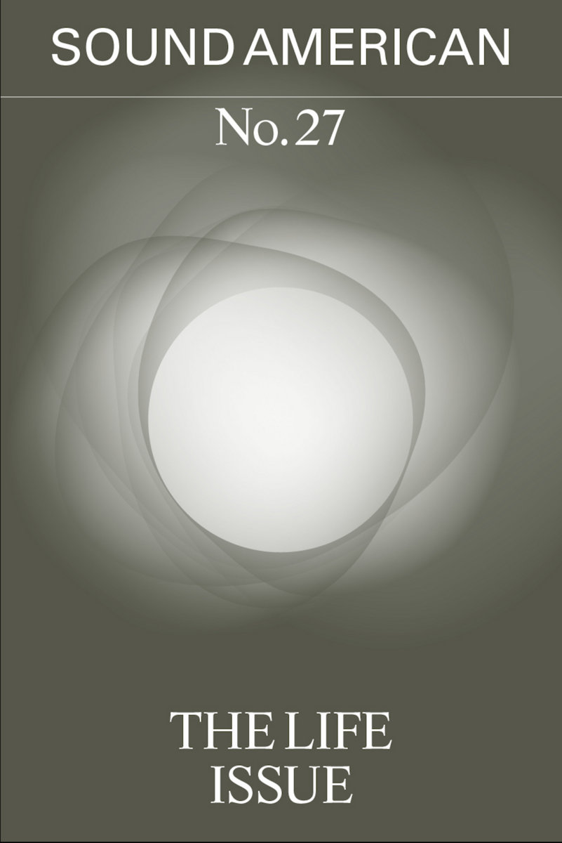 cover of Sound American issue 27, the life issue. An ethereal grey photograph.